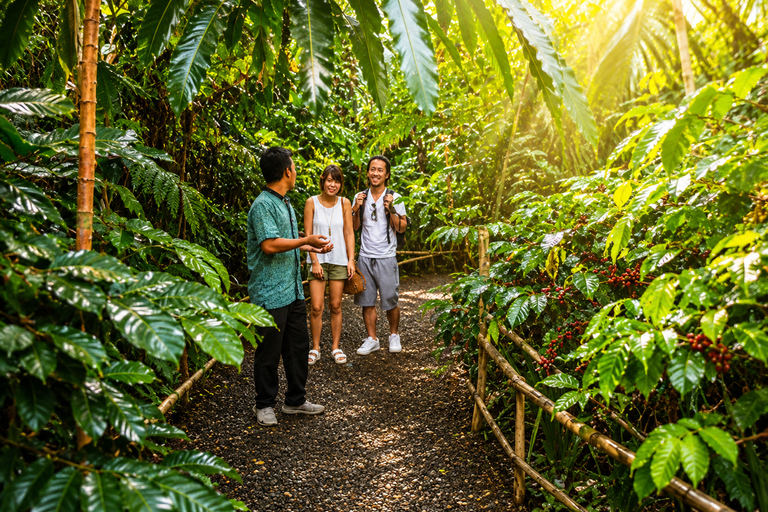 Ubud: Buggy Adventure with Meal, Heaven Swing & Koi Boat Transportation only