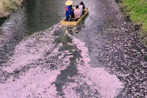 Tokyo: Mount Fuji & Pagoda & Oshino Hakkai & Lake Kawaguchi Route B : Mount Fuji & Hakone Private Customizable Day Trip