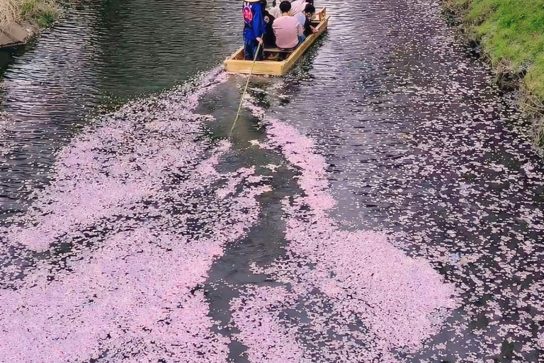Tokyo: Mount Fuji & Pagoda & Oshino Hakkai & Lake Kawaguchi Route B : Mount Fuji & Hakone Private Customizable Day Trip