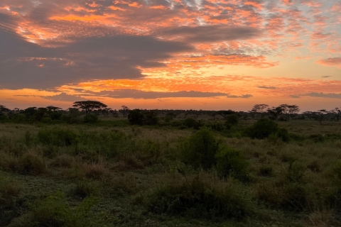 6 Días de cultura y safari por Tanzania desde MoshiDesde Arusha