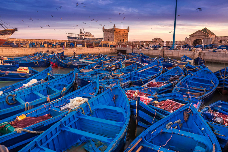 De Agadir: Excursão de Um Dia a Essaouira com serviço de busca no hotel