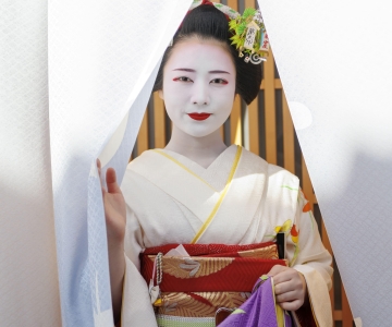 Kyoto: Passeio cultural a pé por Gion com apresentação de gueixas