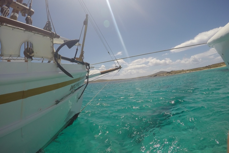 Vanuit Mykonos: Delos & Rhenia-eilanden halve dagtrip per bootVan Mykonos: Delos & Rhenia-eilanden Halve dagtrip per boot