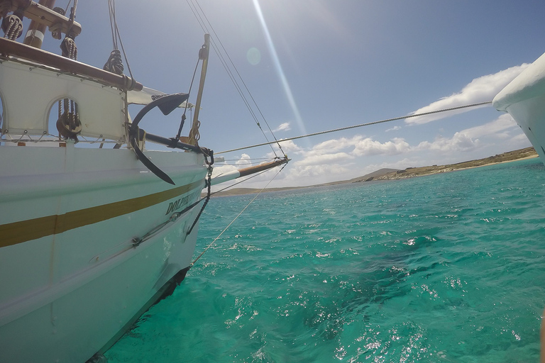 Vanuit Mykonos: Delos &amp; Rhenia-eilanden halve dagtrip per boot