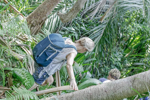 Zanzibar: Jozani Forest, Kuza Cave & Seaweed Farm Tour