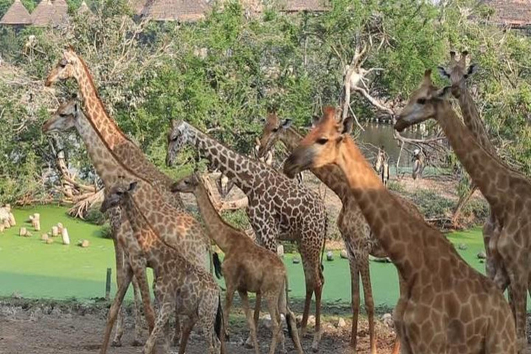 De Nairóbi: Safári de 2 dias no Lago Bogoria e no Lago Nakuru