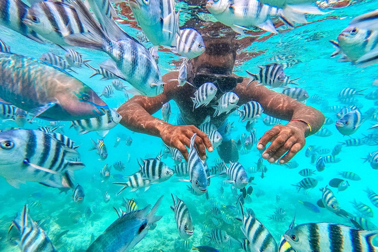 Zanzíbar: Excursión a Mnemba para hacer snorkel y nadar con tortugas