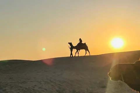 Half Day Camel Safari Sunset with Dinner by Wanderlust