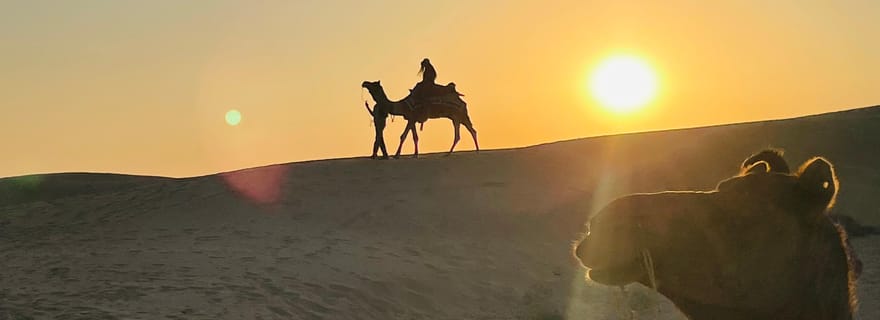 Safari au coucher du soleil à dos de chameau avec dîner