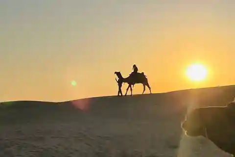 Half Day Camel Safari Sunset with Dinner by Wanderlust