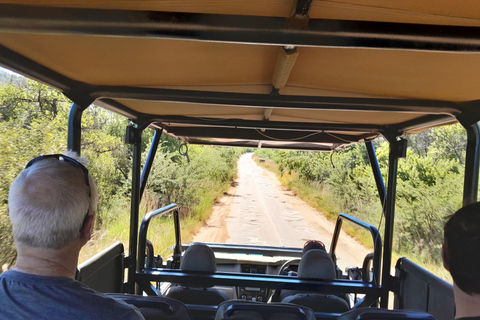 Johannesburg: 3 Hour Pilanesberg National Park Game Drive