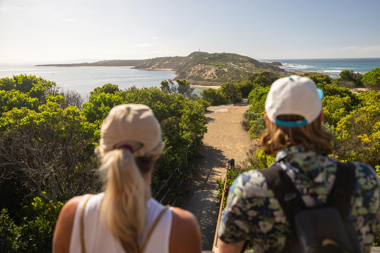 Melbourne: Mornington Peninsula Southern Coast Discovery