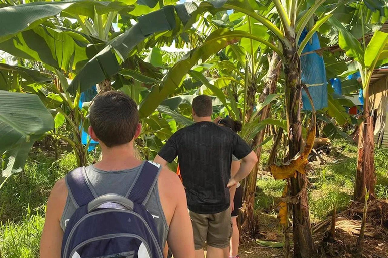 Sainte-Lucie : Randonnée Gros Piton avec transport