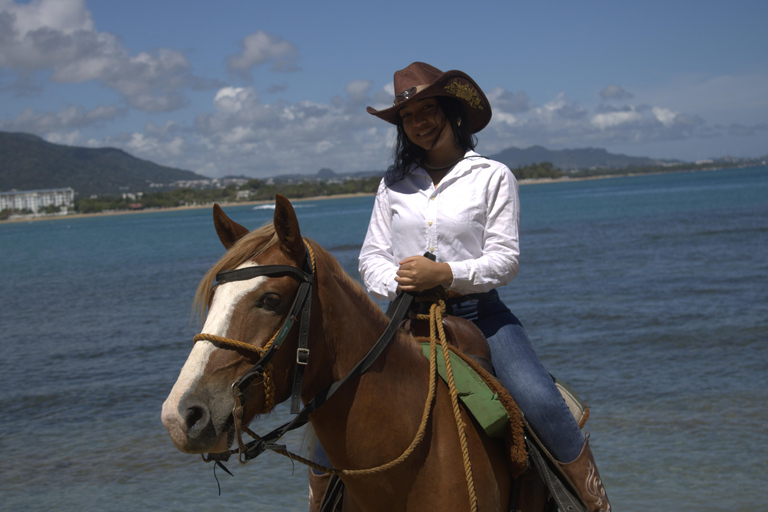 Puerto Plata: Beach Horseback Ride with Swim and Drinks Puerto Plata: Beach Horseback Ride with Swim and Drinks