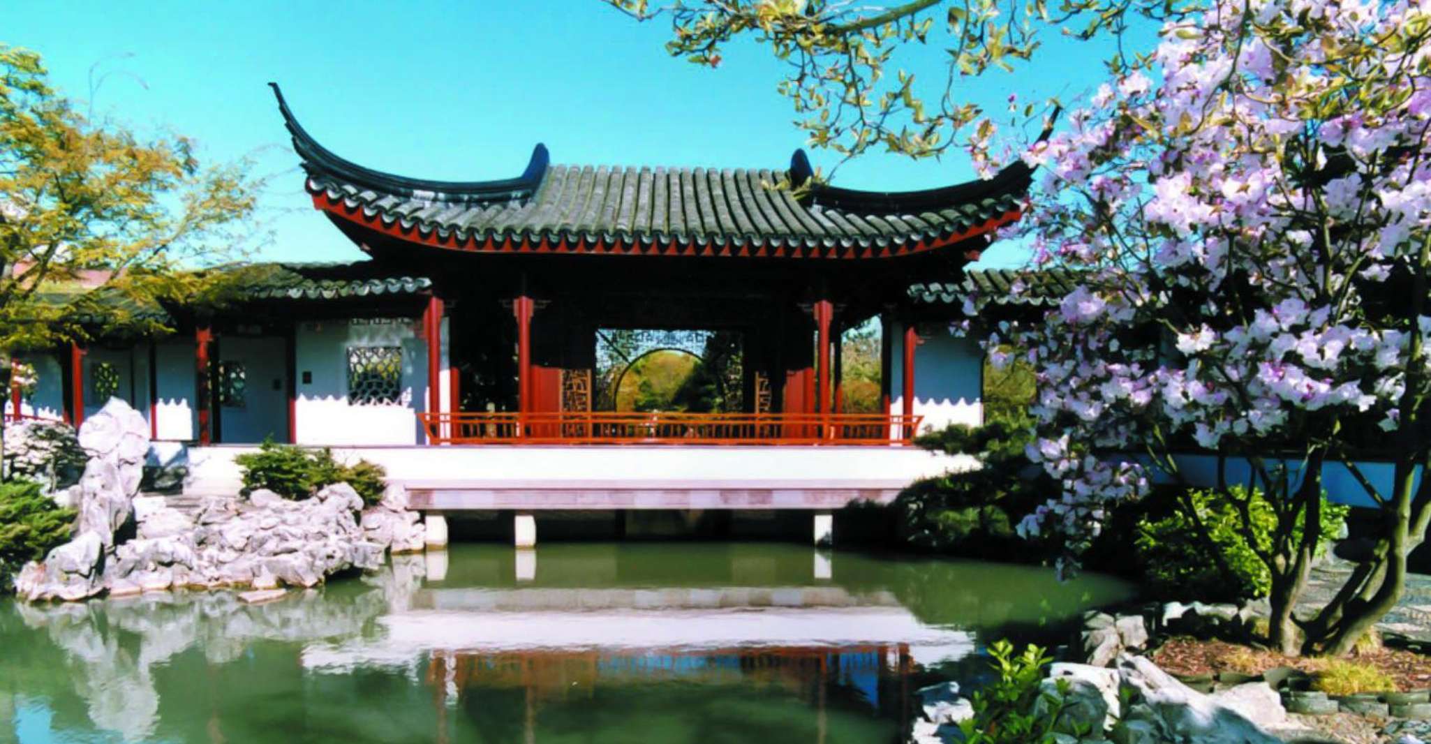 4-Hour Private Tour of Vancouver's Gardens