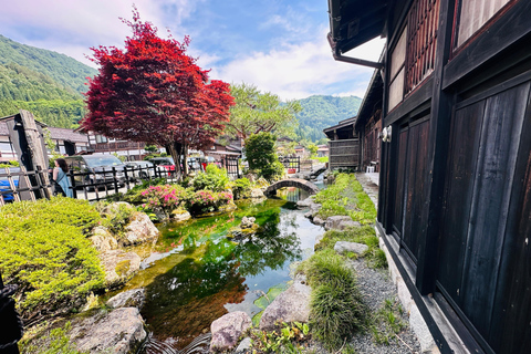 京都：天桥立和宫间私人一日旅行