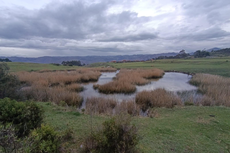 Cusco: Exploring Archaeological Gems Off the Beaten Path