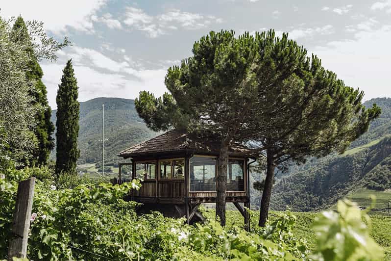 Bolzano: Wine Tasting at SKYWINE Pavilion with Views