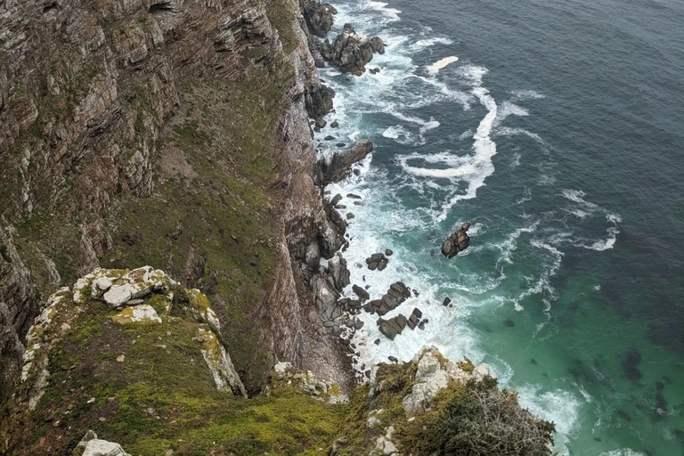 Cape of Good Hope and Penguins Full-Day Private Tour Private tour: Cape of Good Hope and Penguins Full-Day Tour