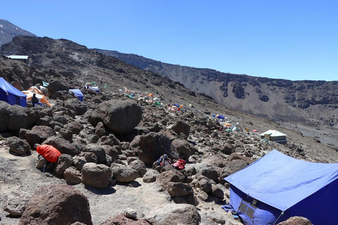 Kilimanjaro nationalpark - 8 dagar Lemosho Route