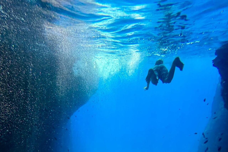 La Ciotat: Boat Tour in the Calanques with swimming