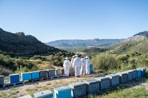 Discover the world of bees and taste their honey in Alicante