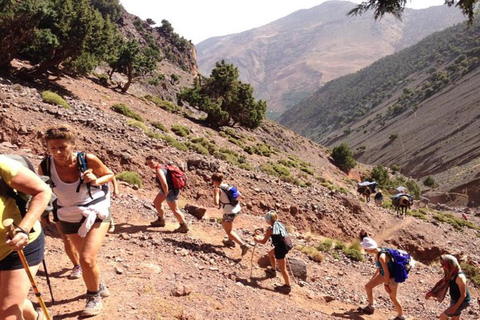 From Marrakech: Setti Fatma & Ourika Valley Tour with Lunch