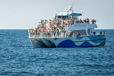 Los Angeles Harbor Breeze Cruise & Battleship USS Iowa Entry Whale Watching Cruise + USS Iowa Ticket