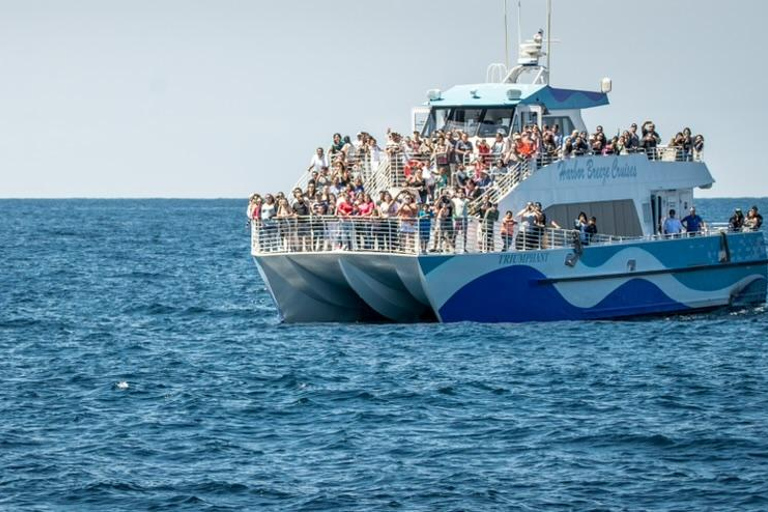 Los Angeles Harbor Breeze Cruise & Battleship USS Iowa Entry Whale Watching Cruise + USS Iowa Ticket