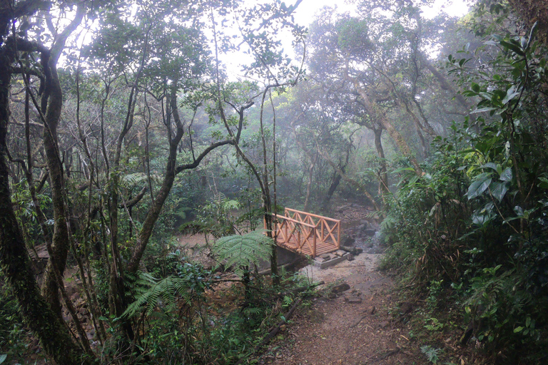 Kandy: Tour di un giorno delle cascate e dei villaggi locali con pranzo