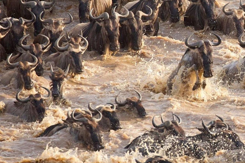 7-Day Best of Tanzania and Kenya Safari