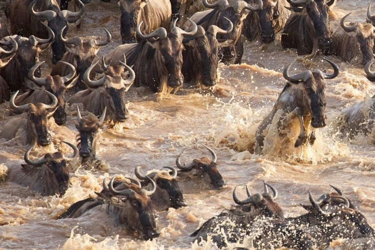 7-Day Best of Tanzania and Kenya Safari