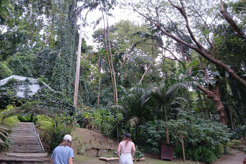 FIJI: Garden of the Sleeping Giant Tour InterContinental/Yatule/Yadua Bay/Shangri-La Pickup