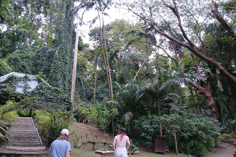 FIJI: Garden of the Sleeping Giant Tour InterContinental/Yatule/Yadua Bay/Shangri-La Pickup