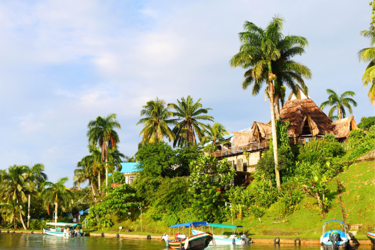 Flores, Peten: One way shared transfer to Rio Dulce, Izabal