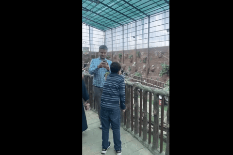 Makkah or Jeddah to Al-Hada, Al-Shafa, and Taif City Tour A journey full of experiences، learn about Saudi hospitality