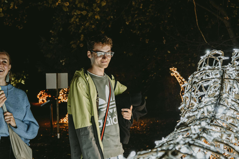 Budapest: biglietto d'ingresso per il Lumina Light Park Wonderworld