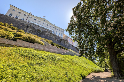 تالين: جولة سير خاصة وشخصية في البلدة القديمةتالين: جولة سير شخصية خاصة في البلدة القديمة لمدة 3 ساع