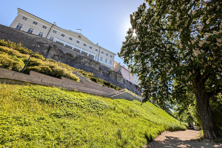 تالين: جولة سير خاصة وشخصية في البلدة القديمةتالين: جولة سير شخصية خاصة في البلدة القديمة لمدة 3 ساع