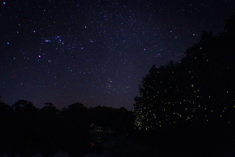 Sabah: Crociera al tramonto con le lucciole di Kawa KawaCrociera al tramonto con le lucciole di Kawa Kawa