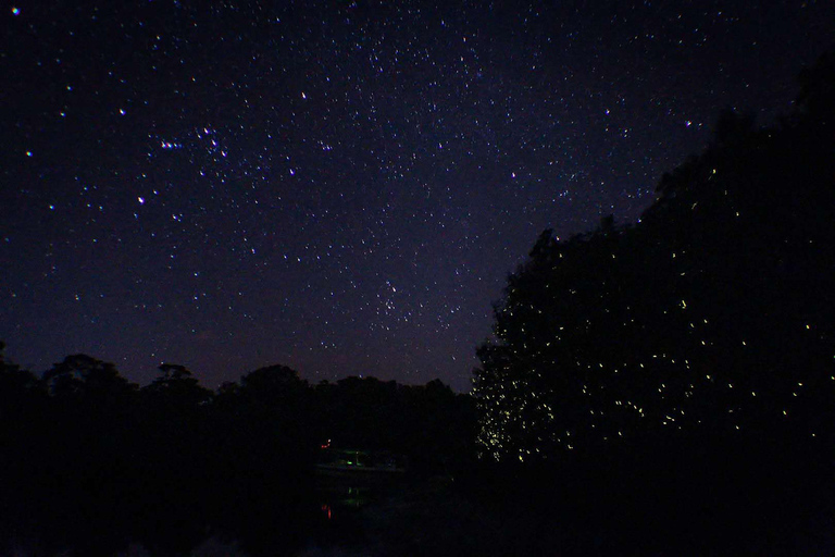 Sabah: Crociera al tramonto con le lucciole di Kawa KawaCrociera al tramonto con le lucciole di Kawa Kawa