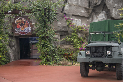 Foz do Iguaçu Tree climbing and zip-lining at Dino Adventure