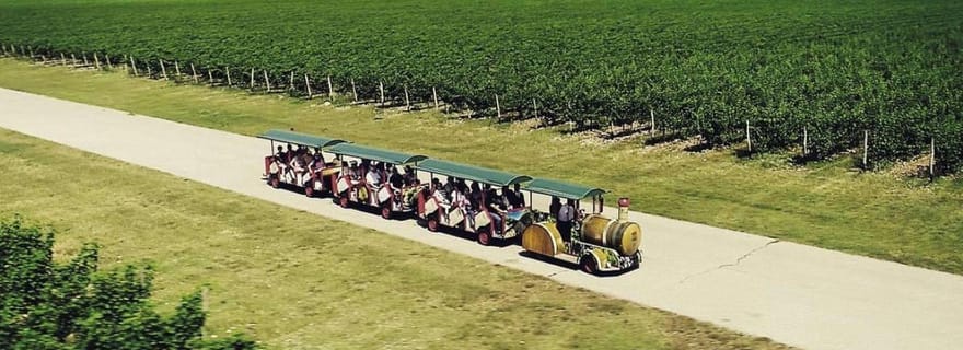 La plus grande cave du Monténégro : visite privée et transport