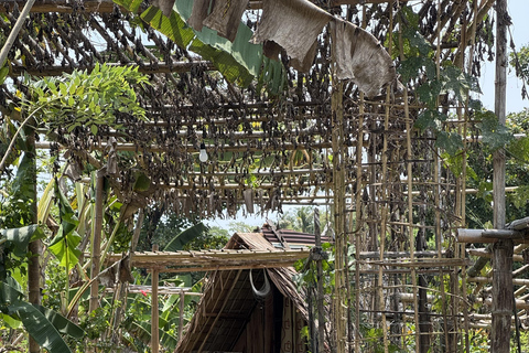 El Nido, Sibaltan: Local Organic Farm Tour & Product Tasting Farm Tour: 2 to 5