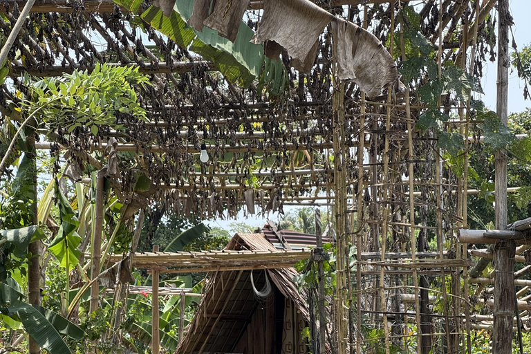 El Nido, Sibaltan: Local Organic Farm Tour & Product Tasting Farm Tour: 2 to 5