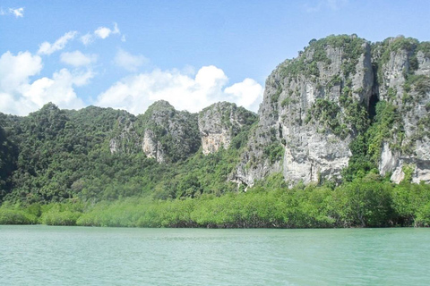 Koh Samui : Excursion en catamaran à moteur rapide pour les dauphins et les trois îles