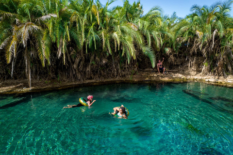 1 Day Private Kikuletwa Hotspring