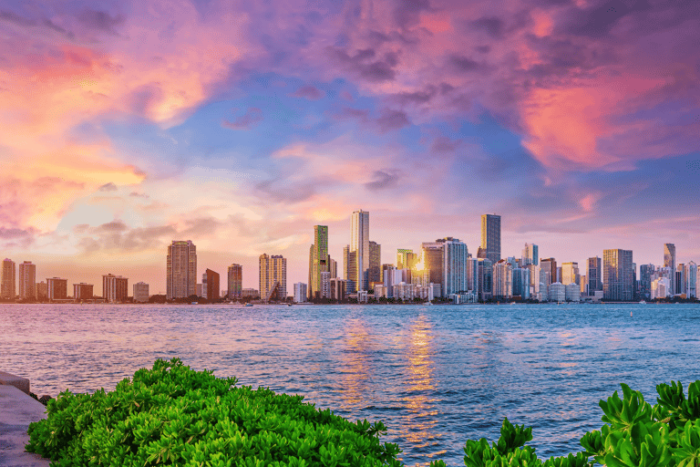 Miami: City Bus Tour-Discover the City&#039;s Hidden Treasures