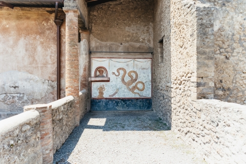 Vanuit Napels: dagexcursie naar Pompeii en de VesuviusTour met een Spaanse live gids met ophaalservice vanaf het hotel
