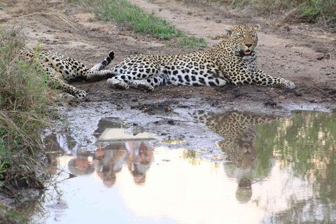 3-Day Sabi Sands Safari at Umkumbe Lodge